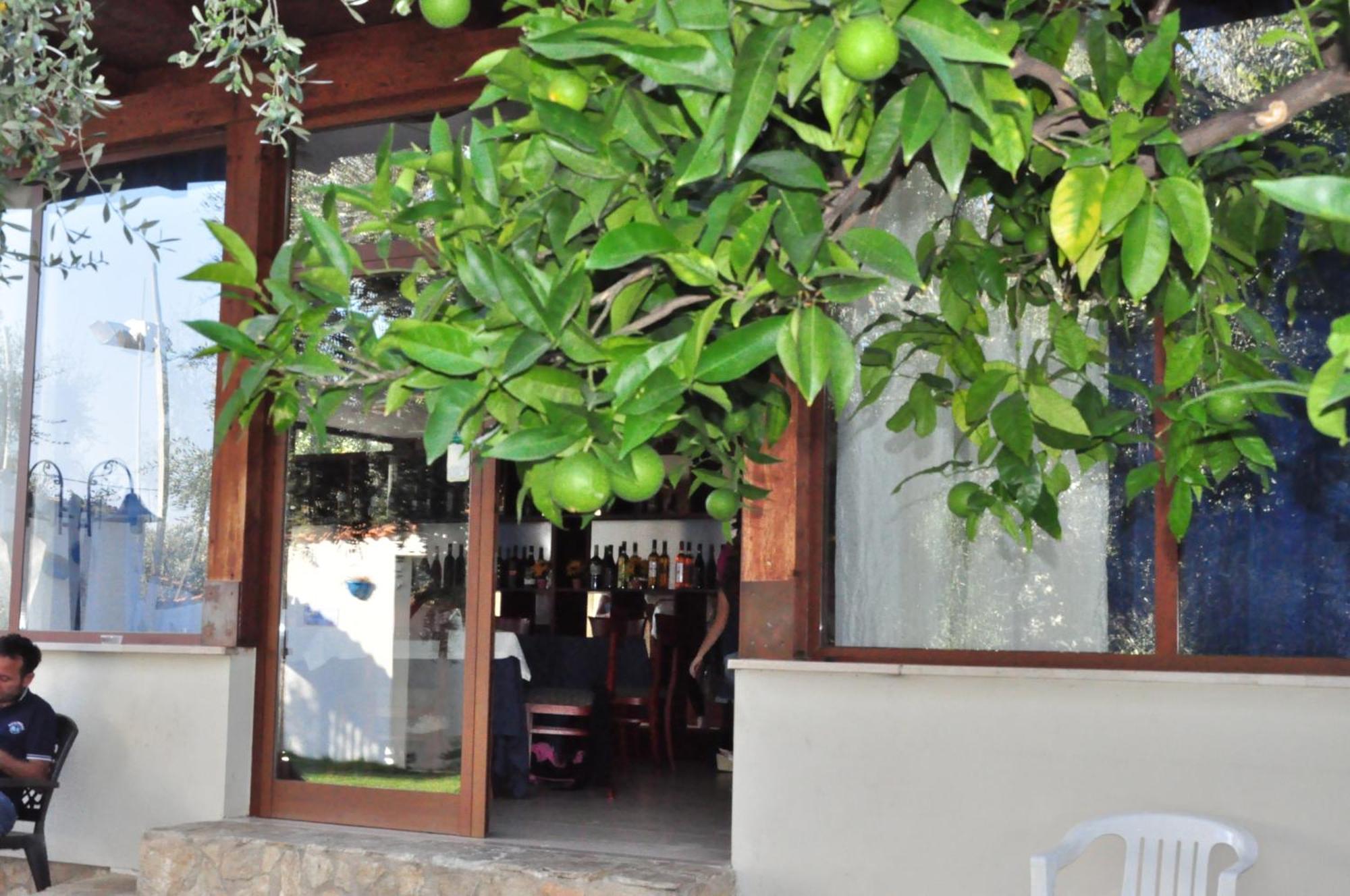 美罗格拉诺酒店 马蒂纳塔 外观 照片